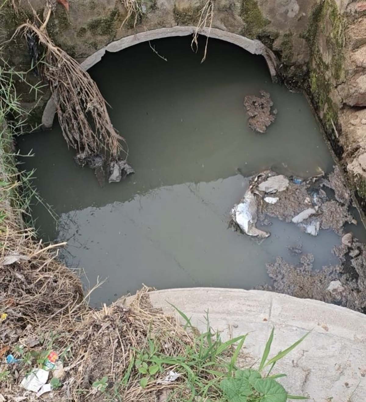 Details sought on Rs 65 lakh released for development of Shakti Kunj Park in Kharar's Old Sunny Enclave